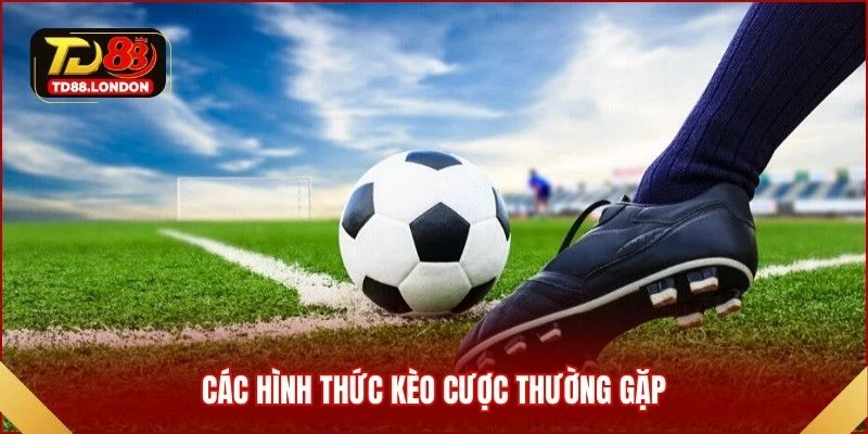 Các hình thức kèo cược thường gặp