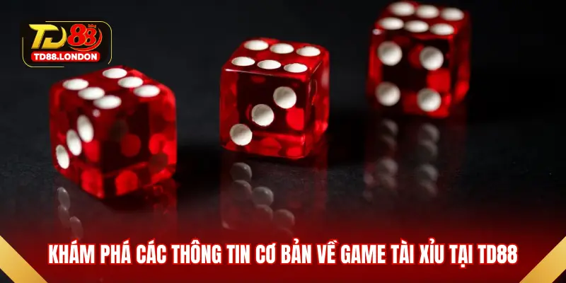 Khám phá các thông tin cơ bản về game Tài Xỉu tại TD88