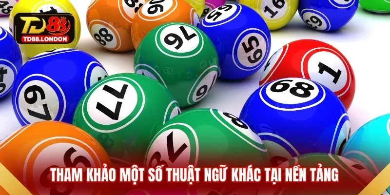 Tham khảo một số thuật ngữ khác tại nền tảng 