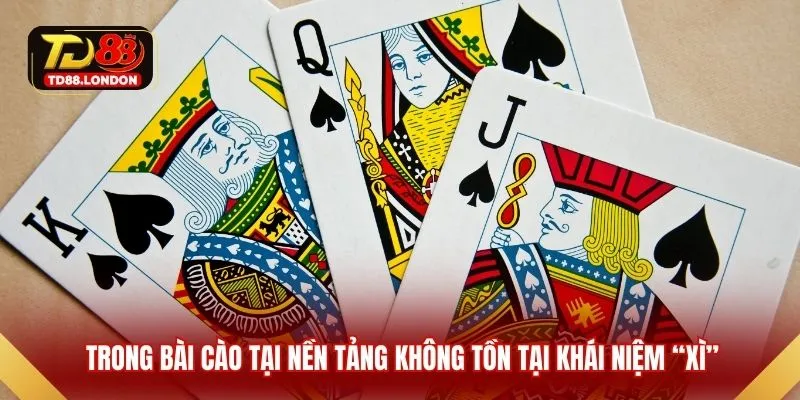 Trong bài cào tại nền tảng không tồn tại khái niệm “xì”